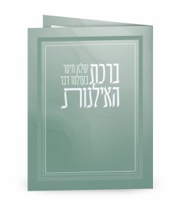 Picture of Birchas Hailanos Bi Fold Silver Frame Design Green